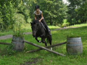 Springen met paard