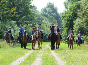 Groepsactiviteit paarden