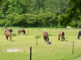 Onze lestarieven