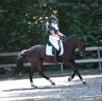Wedstrijdreglementen van RSC Zeewolde