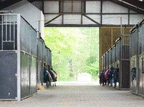 Ruime paardenstal 